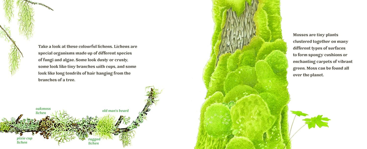 Forest Magic - A Guidebook for Little Woodland Explorers