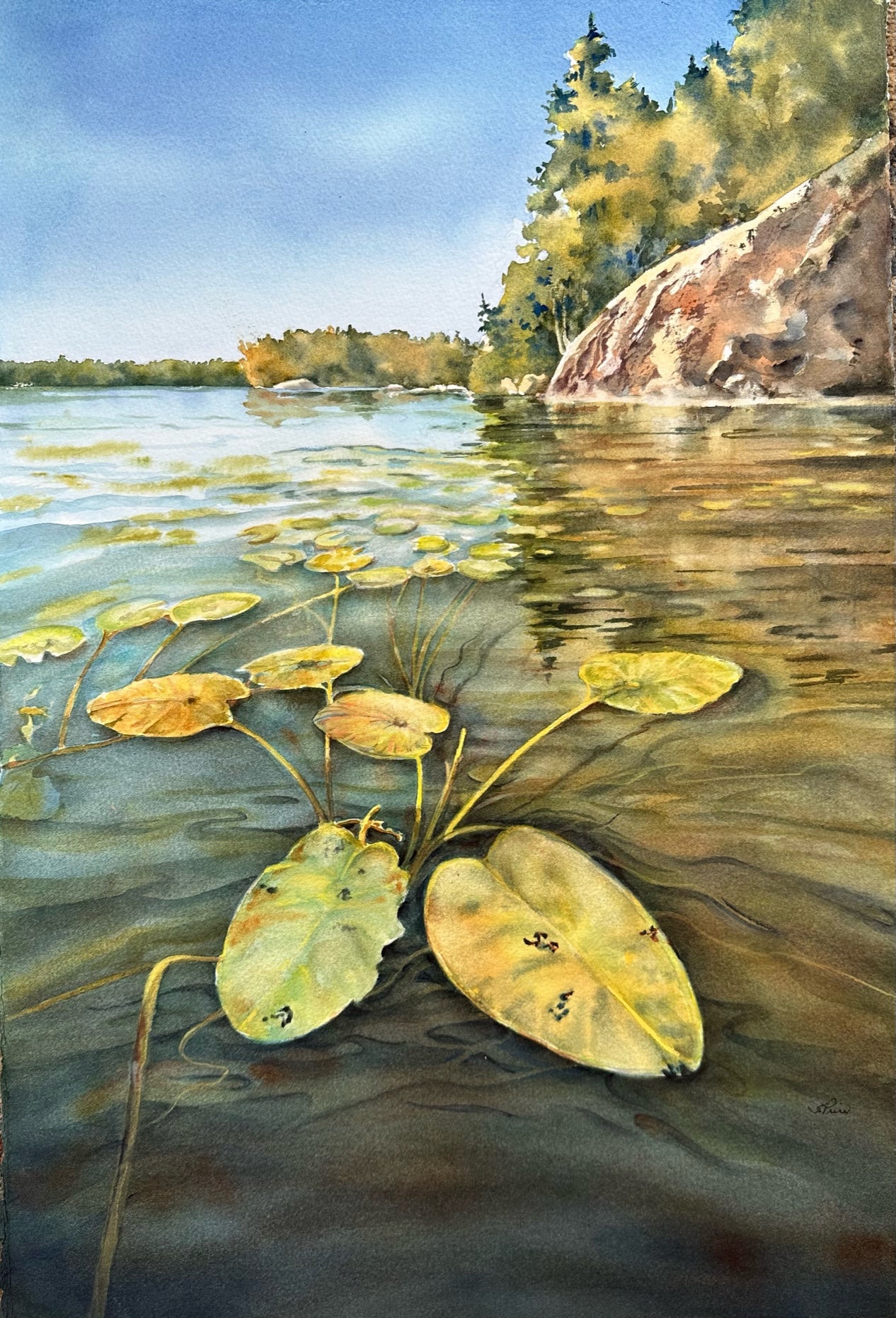 Framed Original Watercolour - HIDDEN DEPTHS