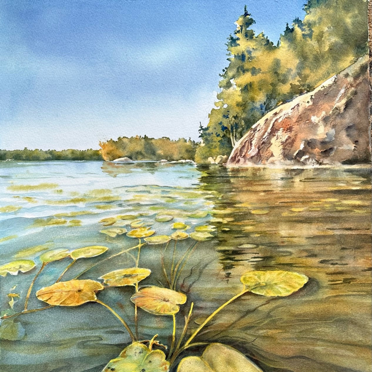 Framed Original Watercolour - HIDDEN DEPTHS