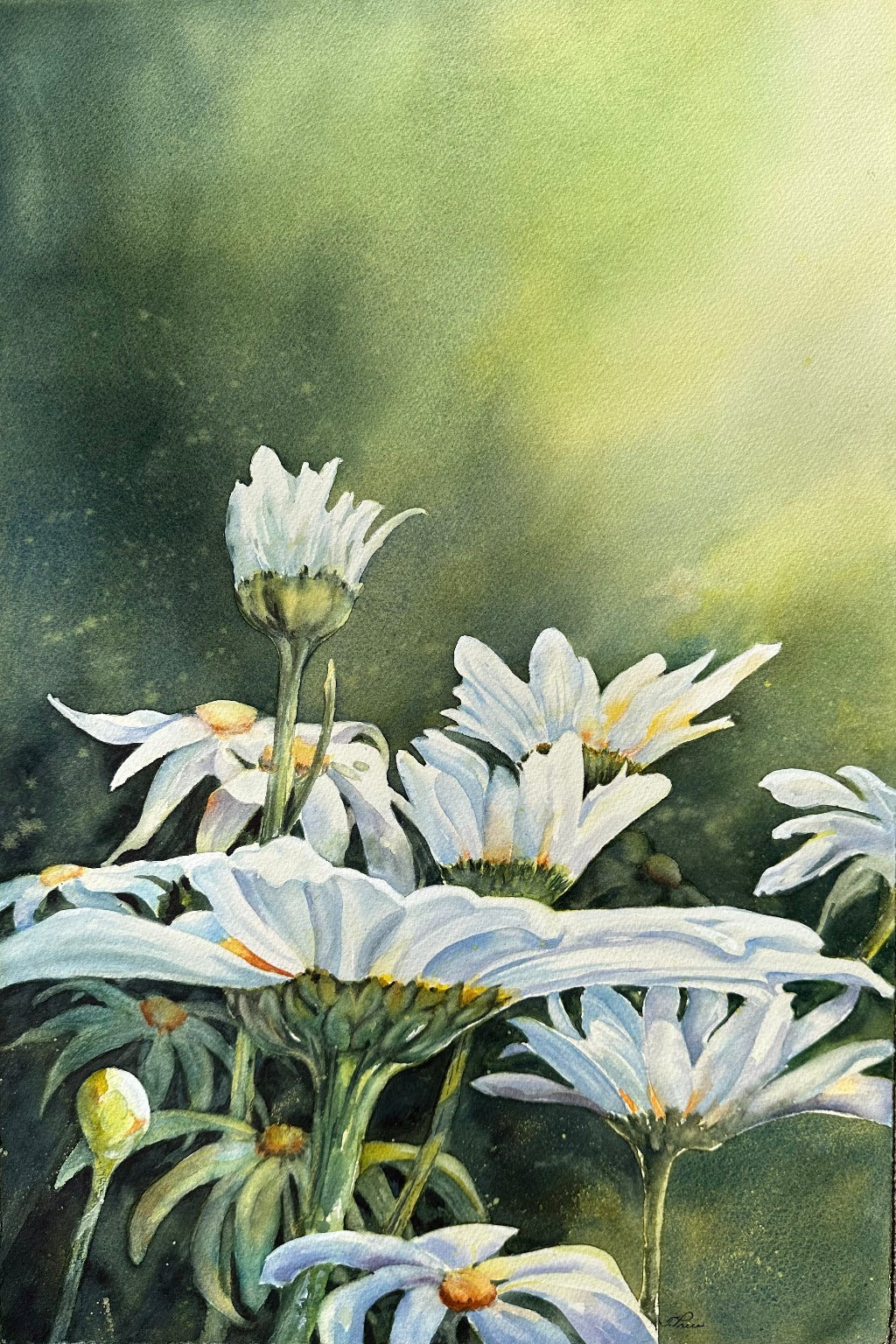 Framed Original Painting - A CHEERFULNESS OF DAISIES