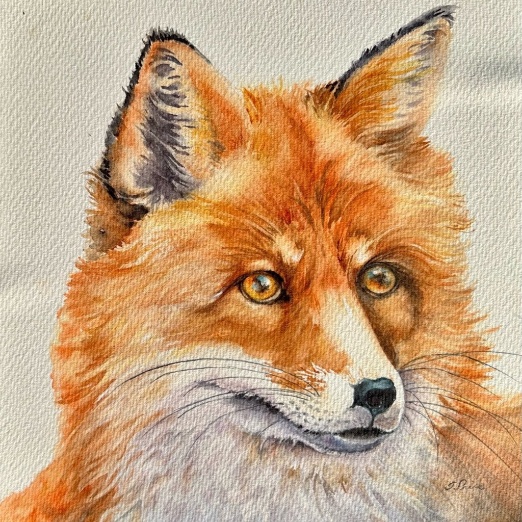 Framed Original Watercolour - VIGILANT