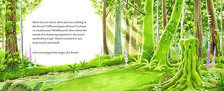 Forest Magic - A Guidebook for Little Woodland Explorers