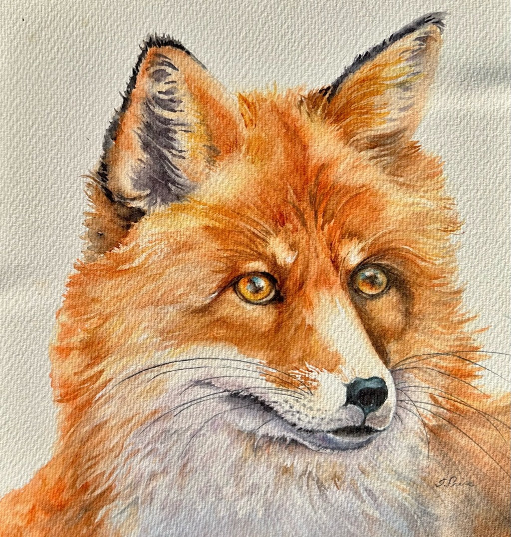 Framed Original Watercolour - VIGILANT