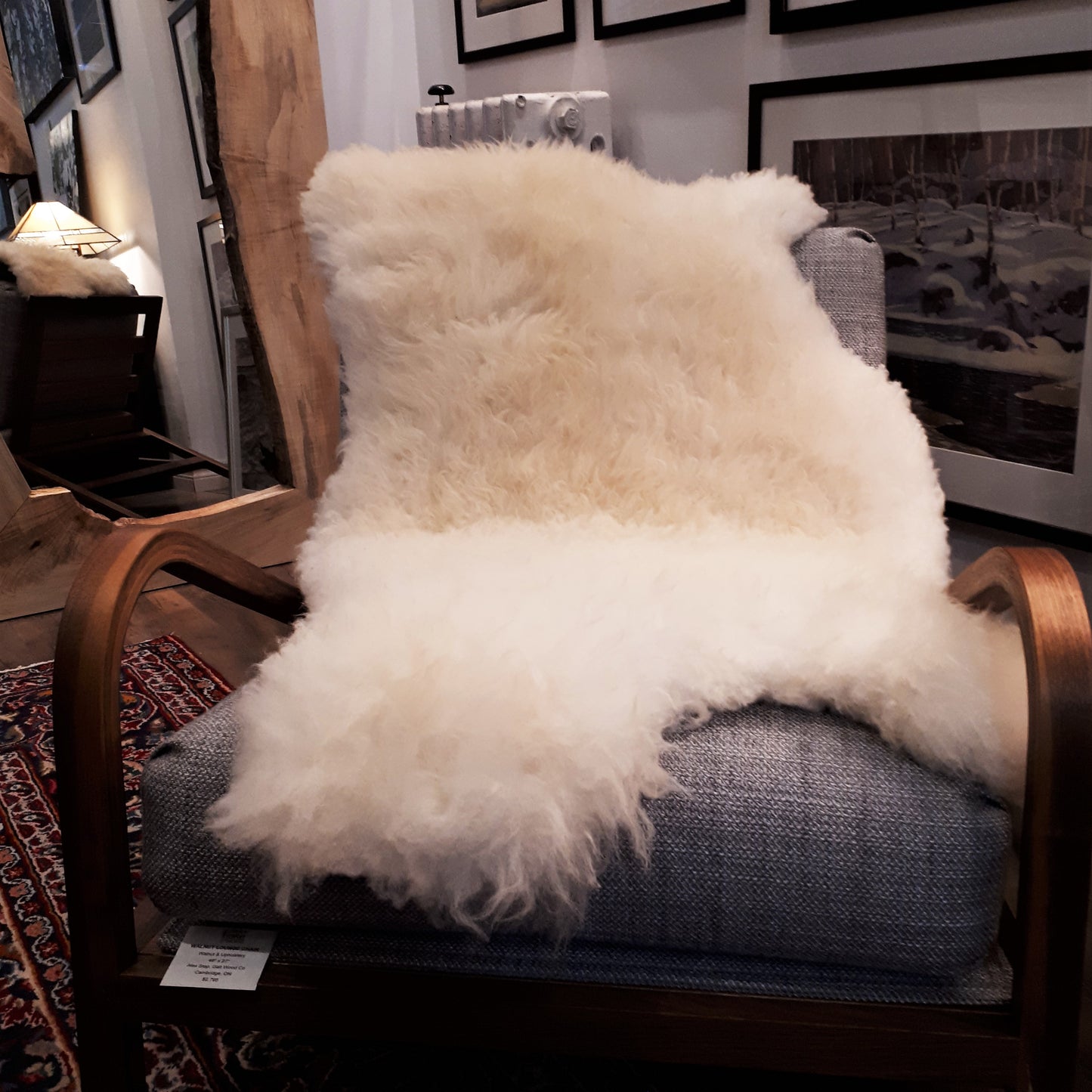 Shropshire Sheepskin from Tamarack Farms - large