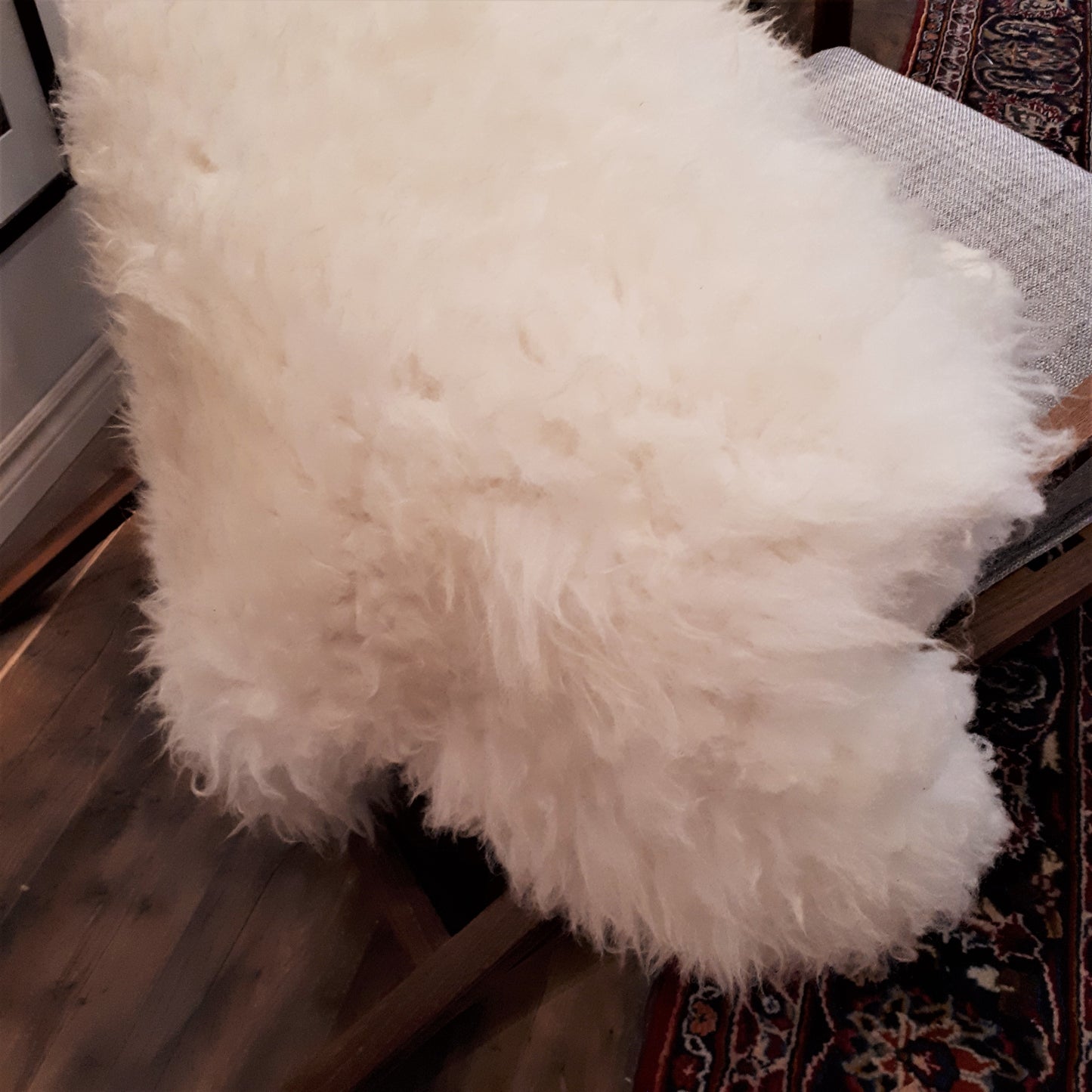 Shropshire Sheepskin from Tamarack Farms - large