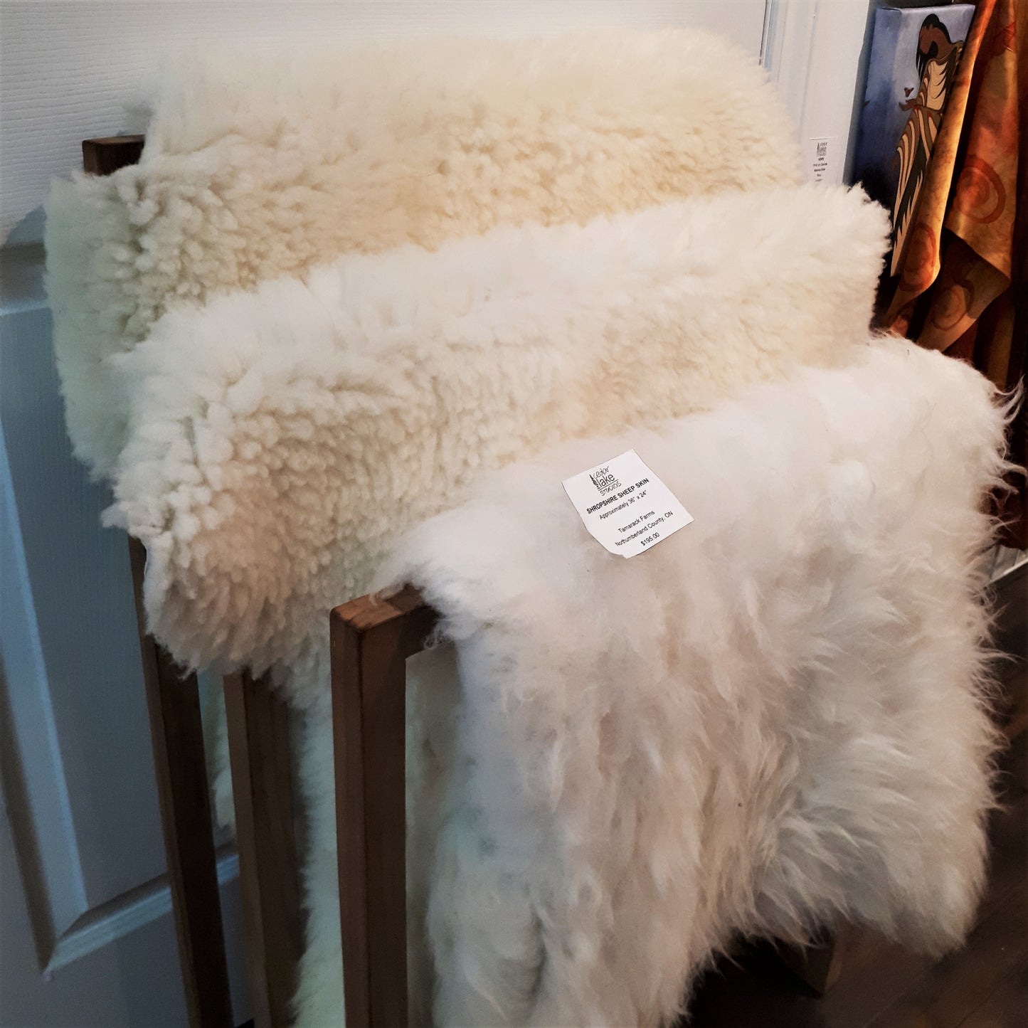 Shropshire Sheepskin from Tamarack Farms 275