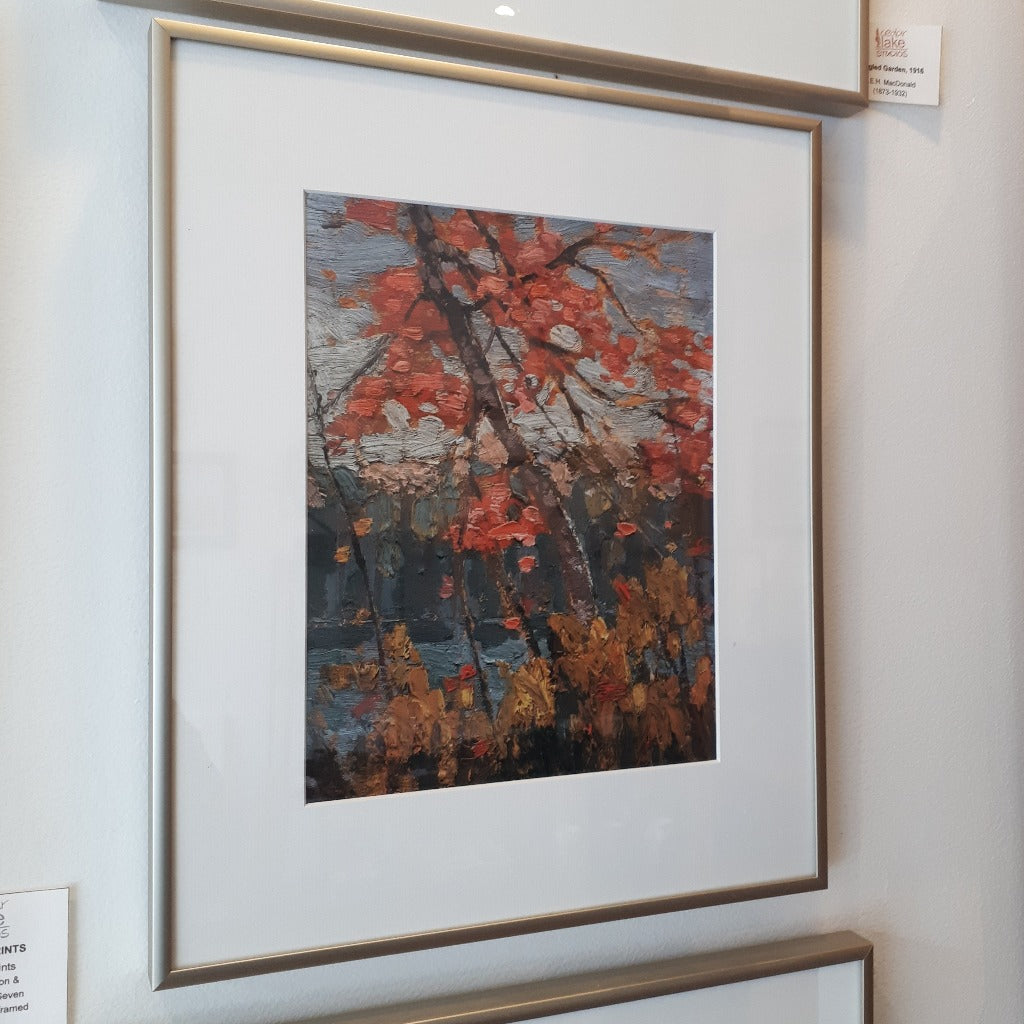 Group of Seven Aluminum-Framed Print - Tom Thomson - TWISTED MAPLE (1914)