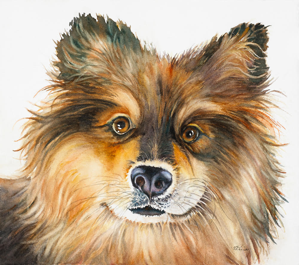 Framed Original Watercolour - ELOQUENT EYES