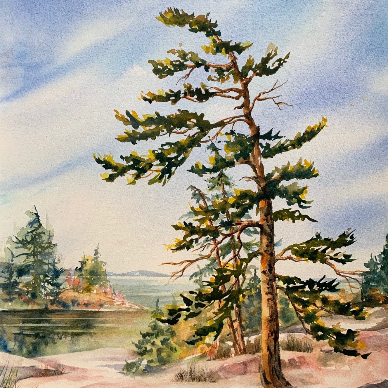 Note Cards - Tiina Price Trees & Flowers