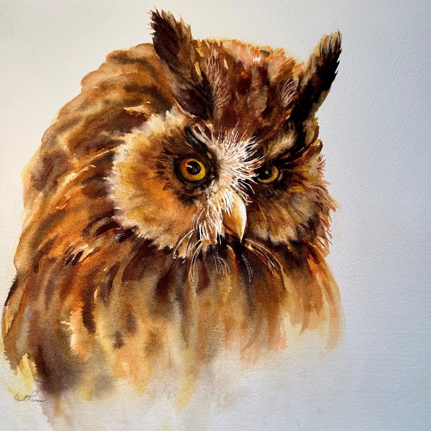 Note Cards - Tiina Price Birds & Animals