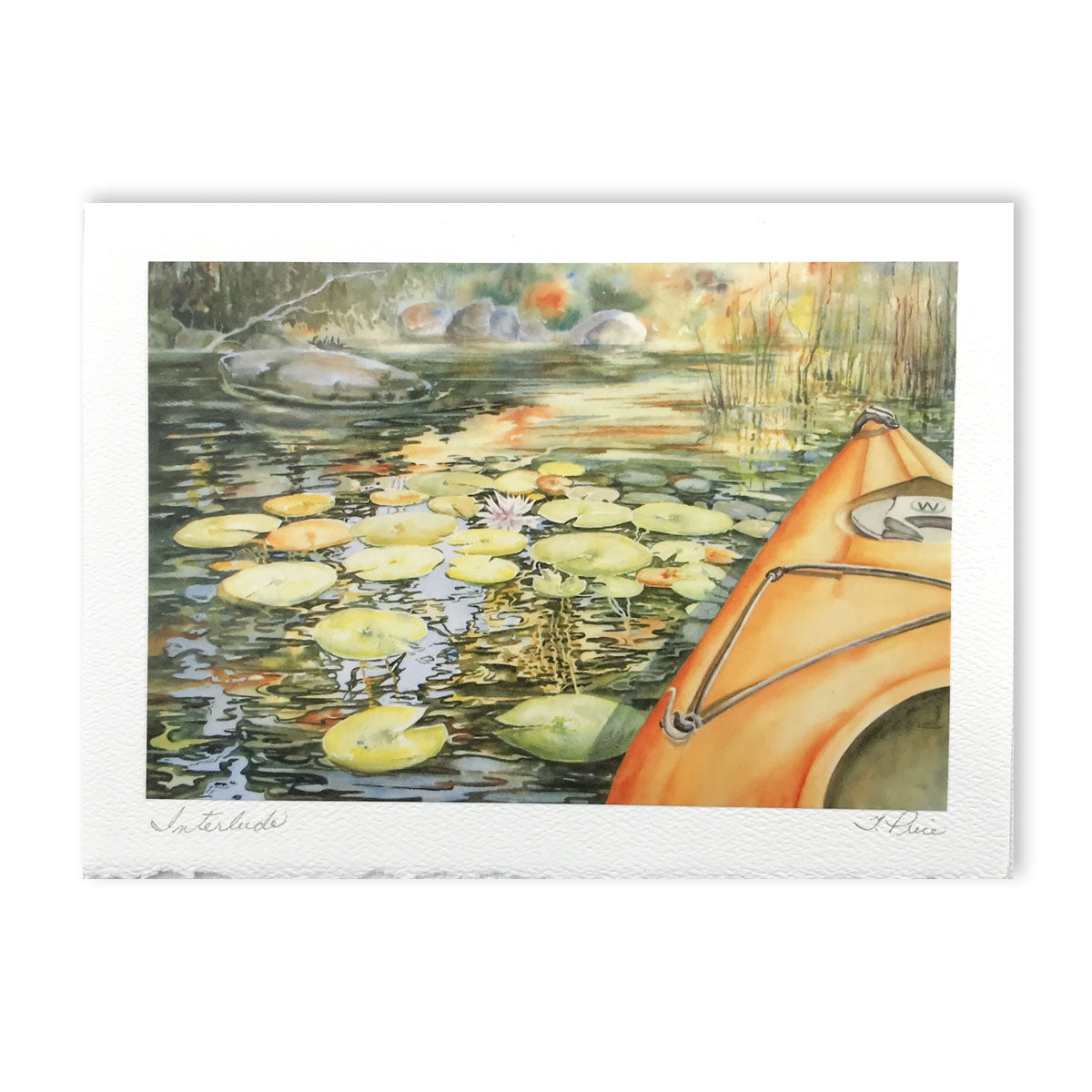 Note Cards - Tiina Price Trees & Flowers