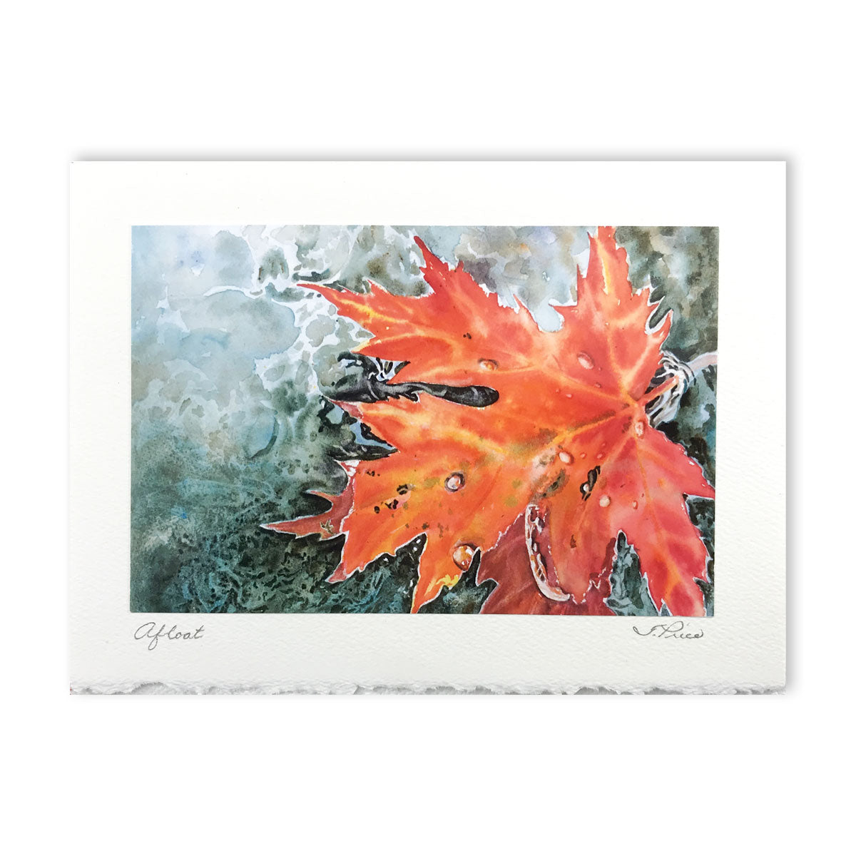 Note Cards - Tiina Price Trees & Flowers