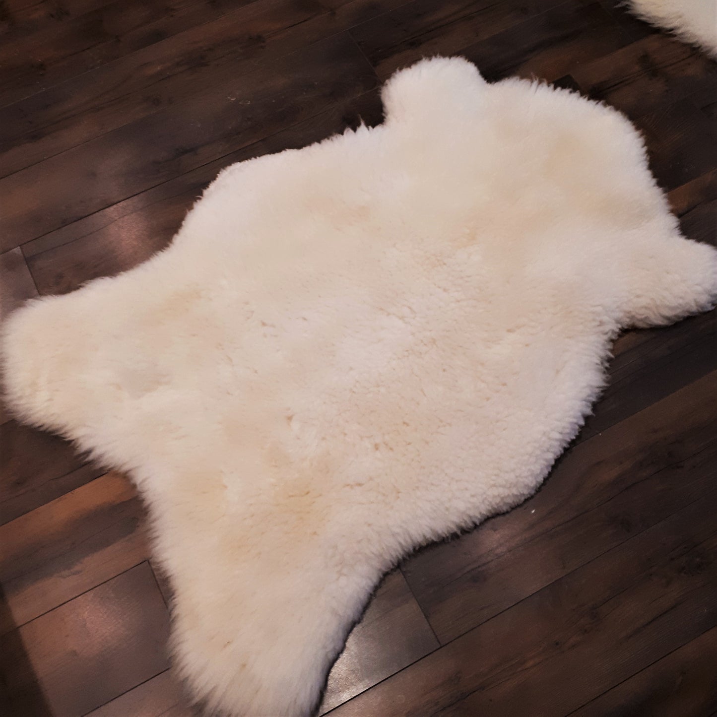 Shropshire Sheepskin from Tamarack Farms 275