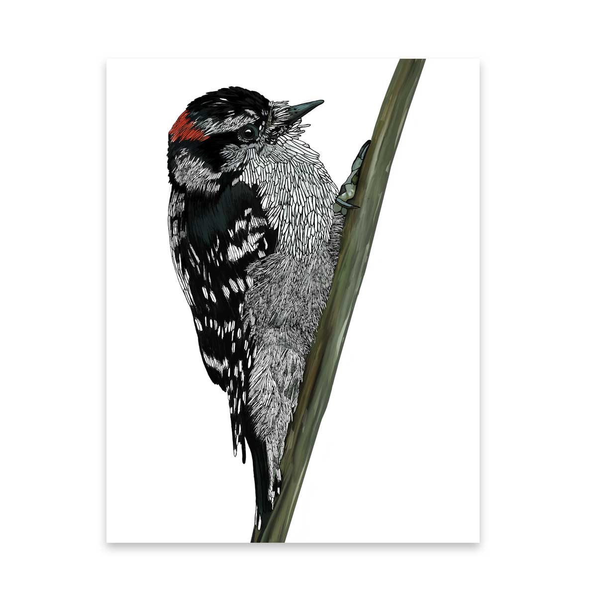 Note Cards - Wendy Campbell