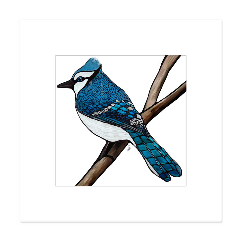 Matted Bird Prints - Cardinal, Chickadee, Blue Jay, Woodpecker, etc.
