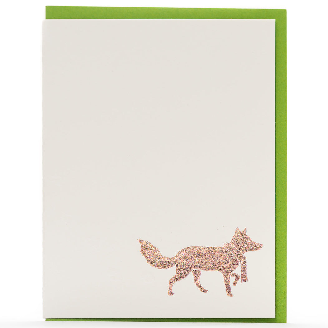 Folder Set of Animal Tracks Cards (set of 6) - Porchlight Press Letterpress