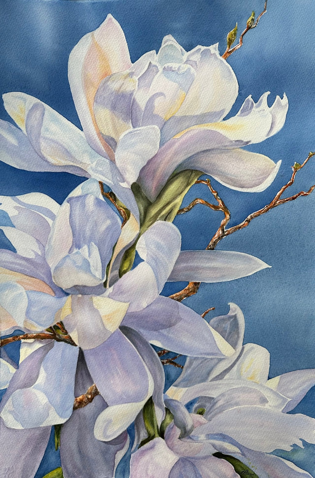 Original watercolour painting White Magnolia deals signed Botanical art floral ornament