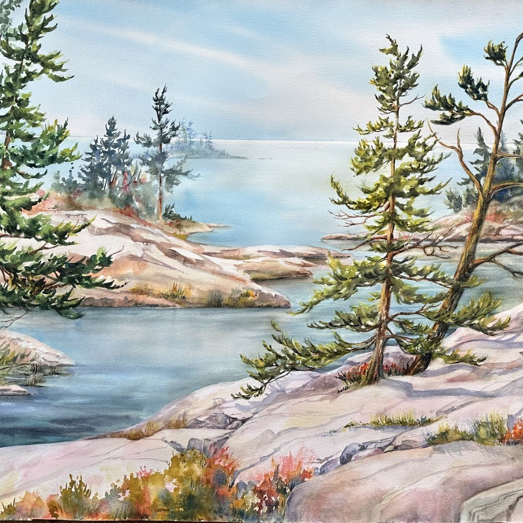 Framed Original Painting - NORTHERN ALLURE