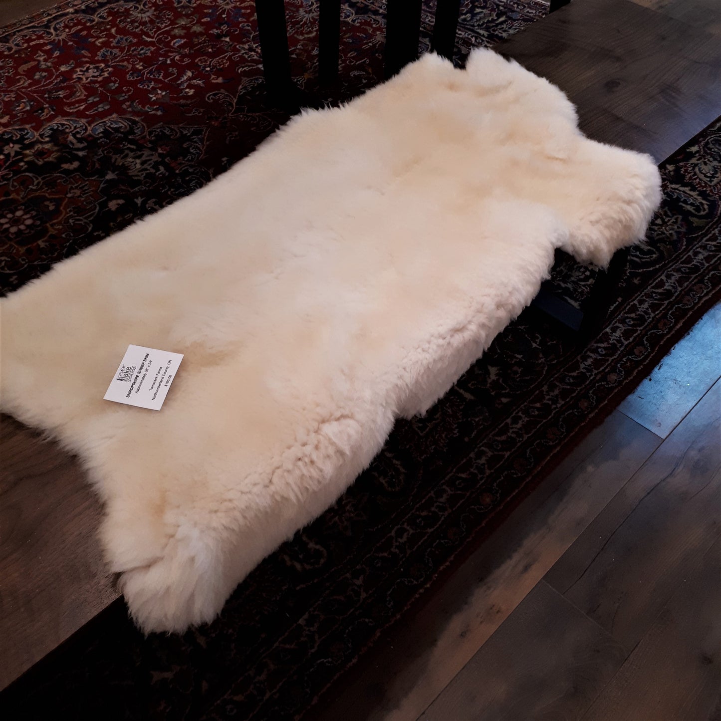 Shropshire Sheepskin from Tamarack Farms 195