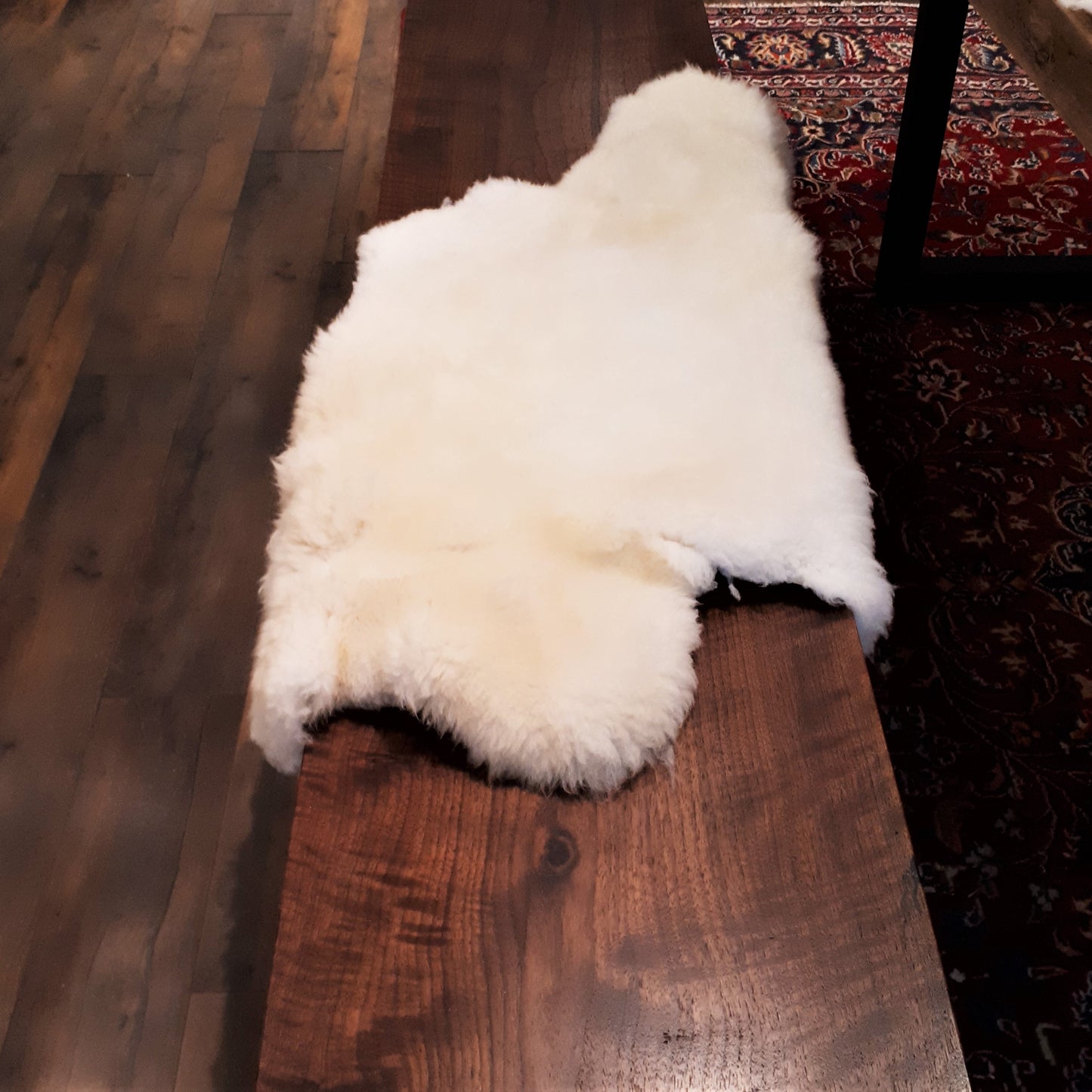 Shropshire Sheepskin from Tamarack Farms 195