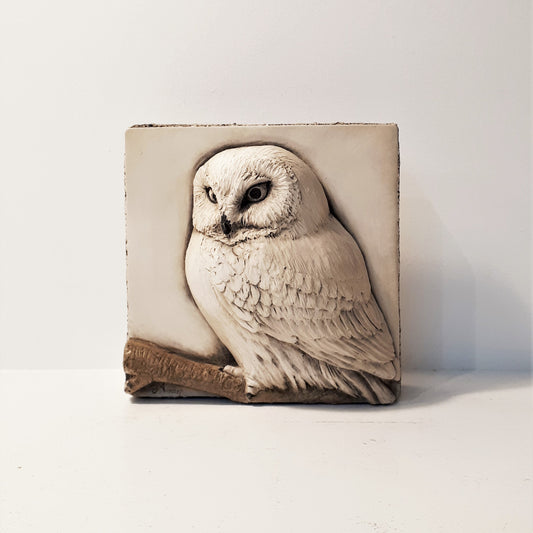 Limited Edition OWL (4x4) Black & White - Sculpted Cast Hydrostone