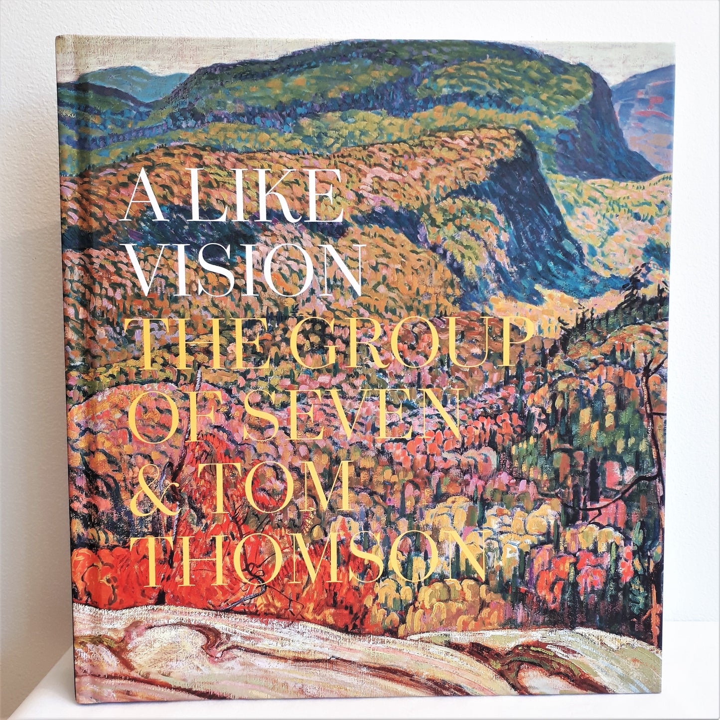 A Like Vision by Ian Dejardin and Sarah Milroy