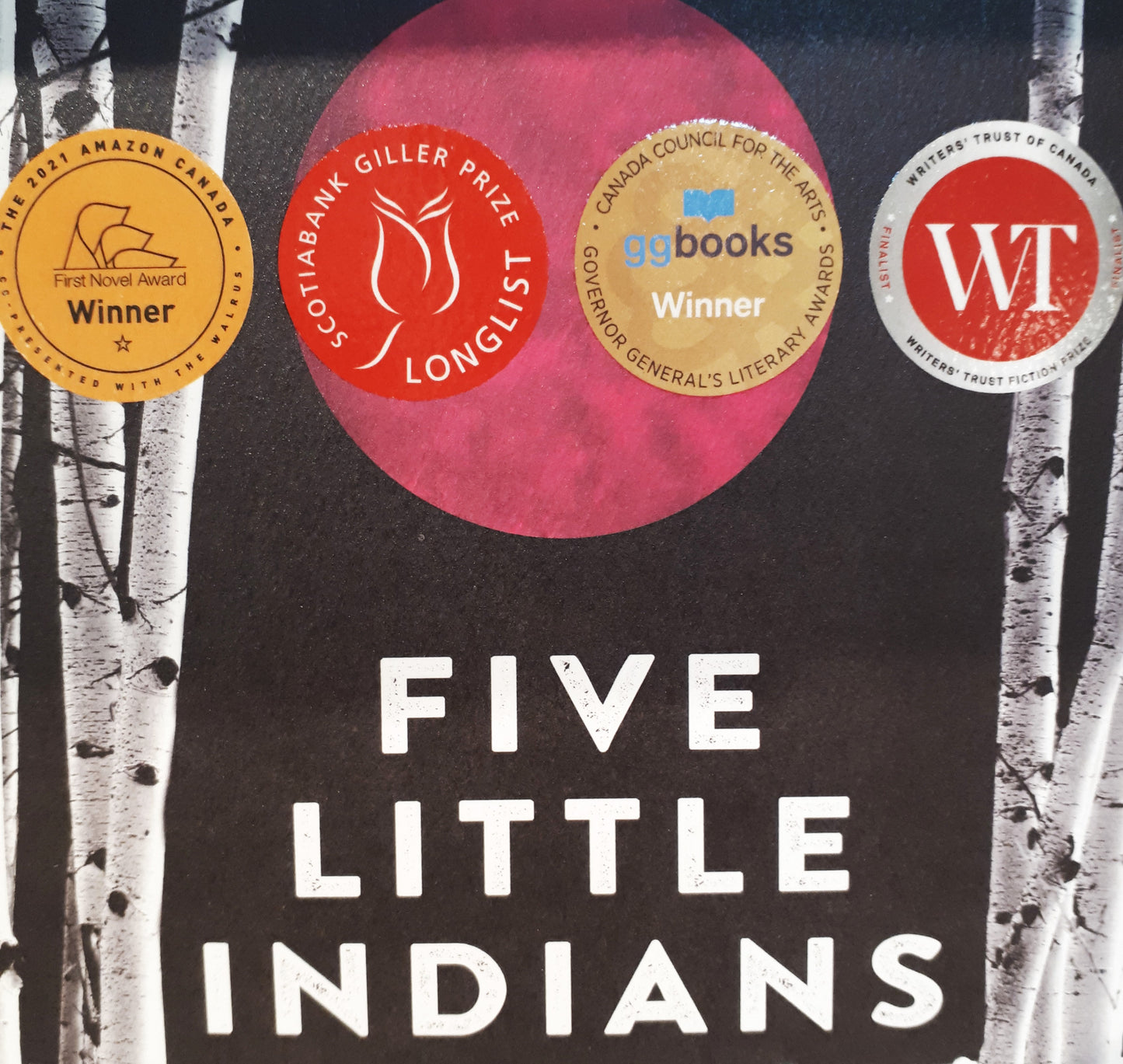 Five Little Indians by Michelle Good