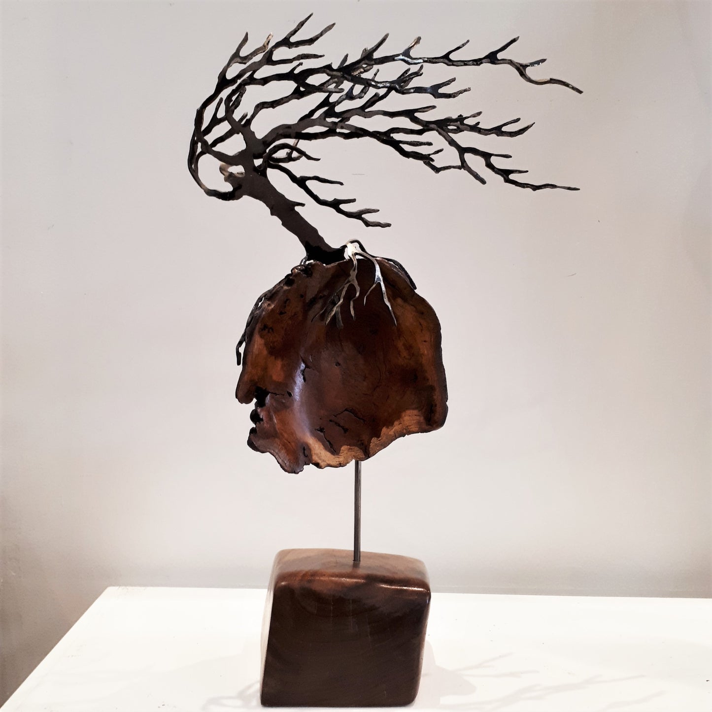 Cut-Steel Sculpture - Oak Tree on Cedar Burl