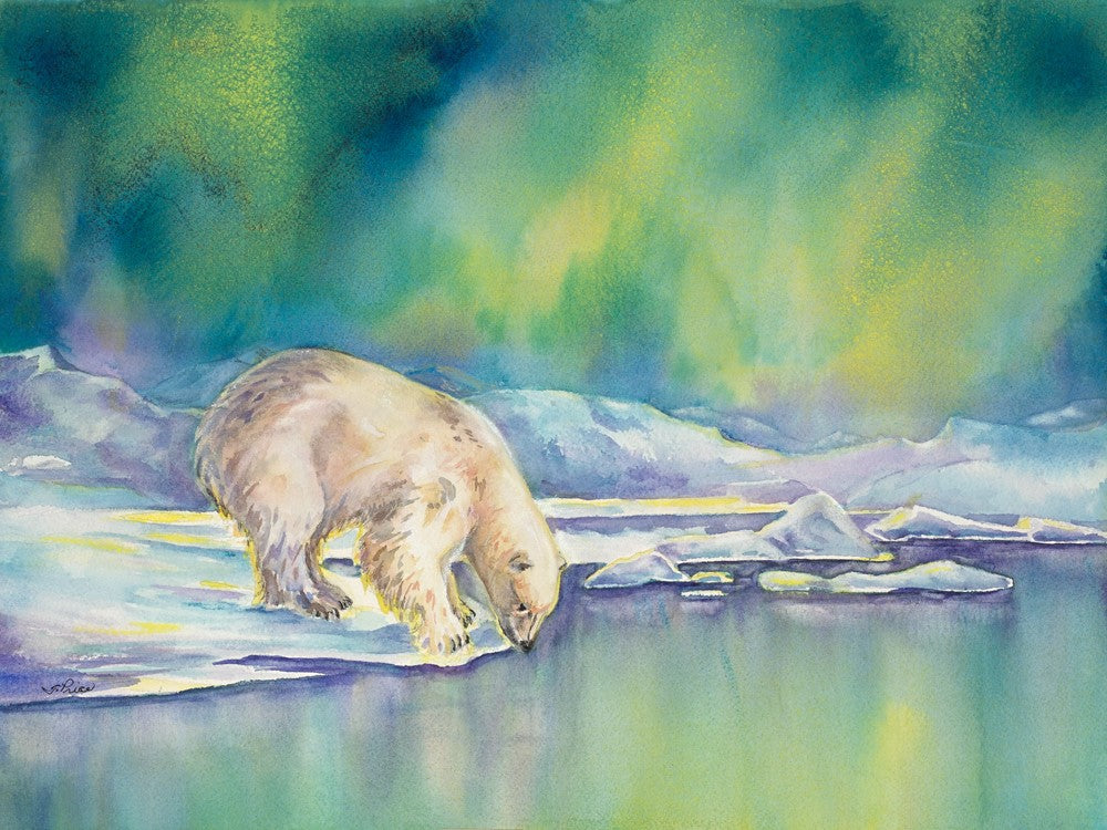 Framed Original Watercolour - AURORA BEAR