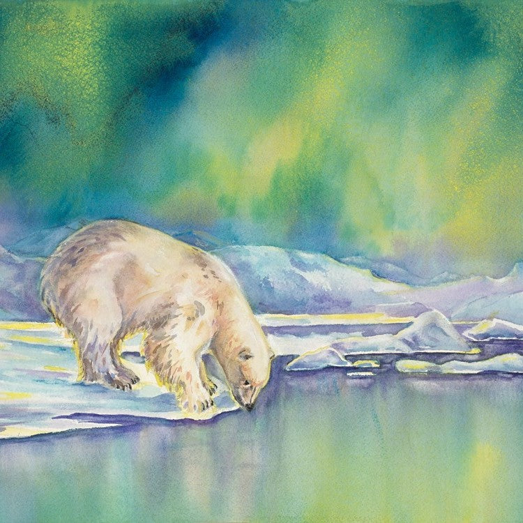 Framed Original Watercolour - AURORA BEAR