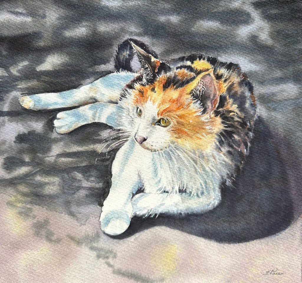 Framed Original Watercolour - SUNBATHING