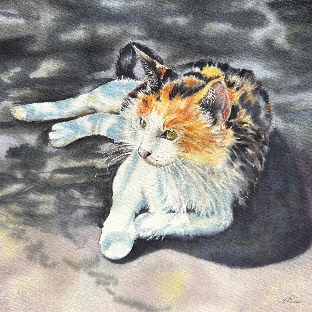 Framed Original Watercolour - SUNBATHING