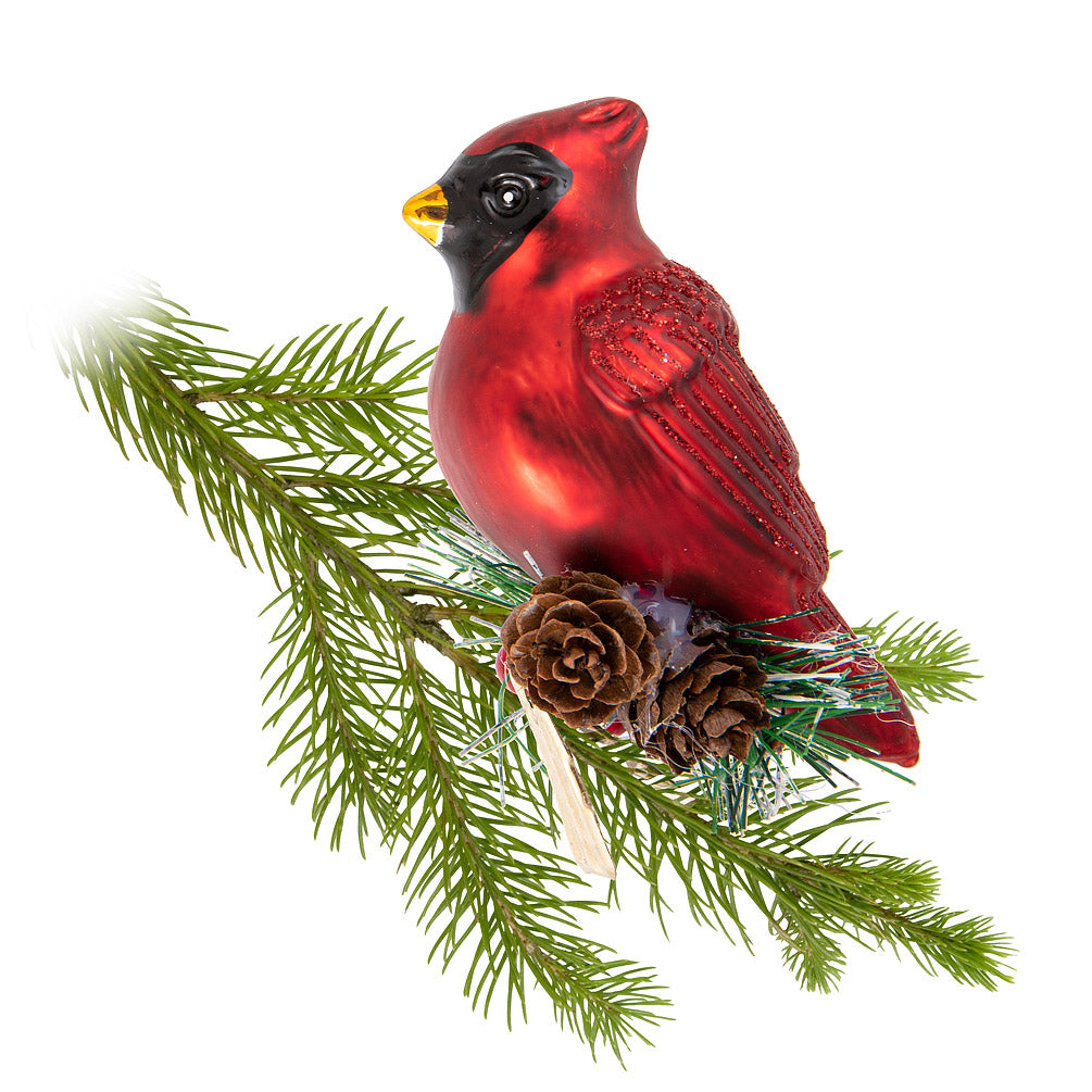 Glass Tree Ornament - Cardinal with clip