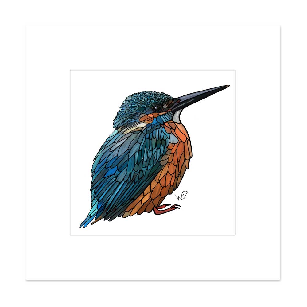 Matted Bird Prints - Cardinal, Chickadee, Blue Jay, Woodpecker, etc.